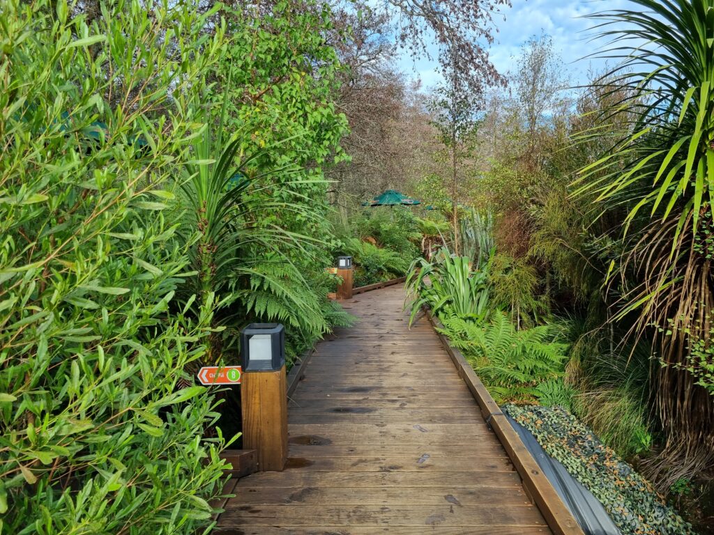 The Secret Spot Boardwalk, Rotorua