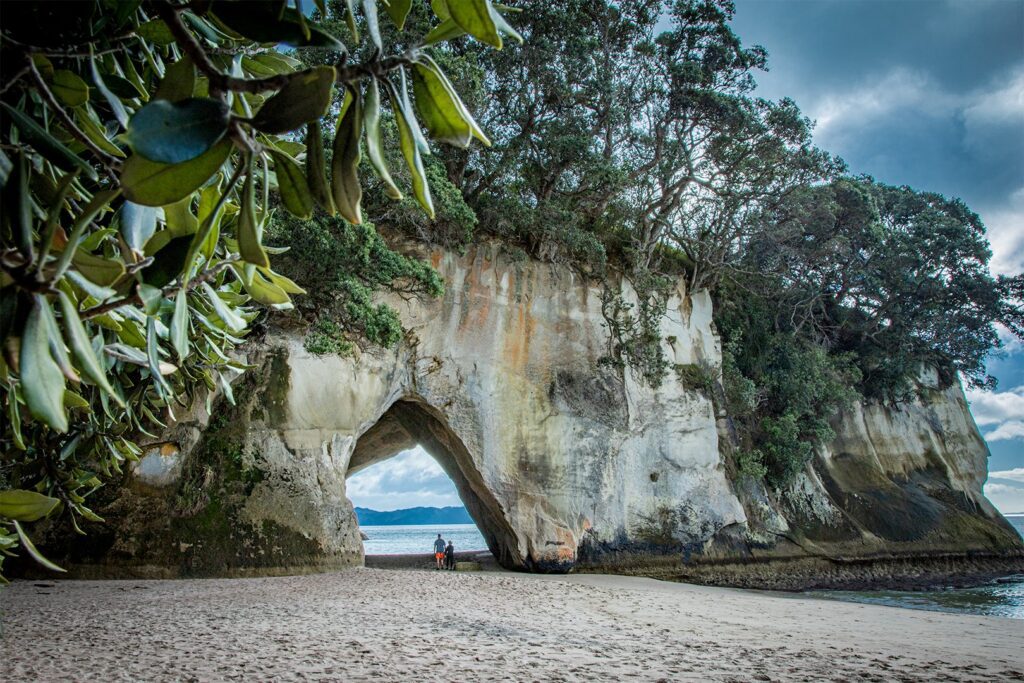 Cathedral Cove