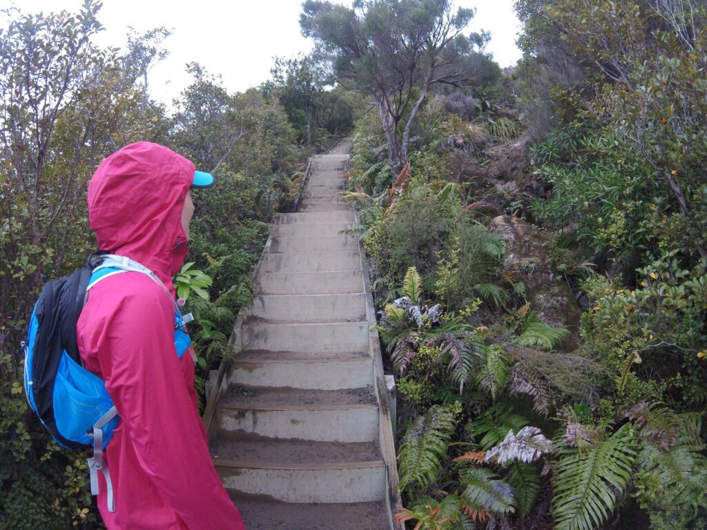 The Pinnacles Walk, wooden stairs