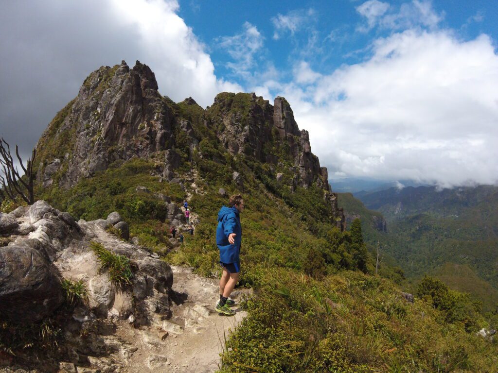 The Pinnacles walking track