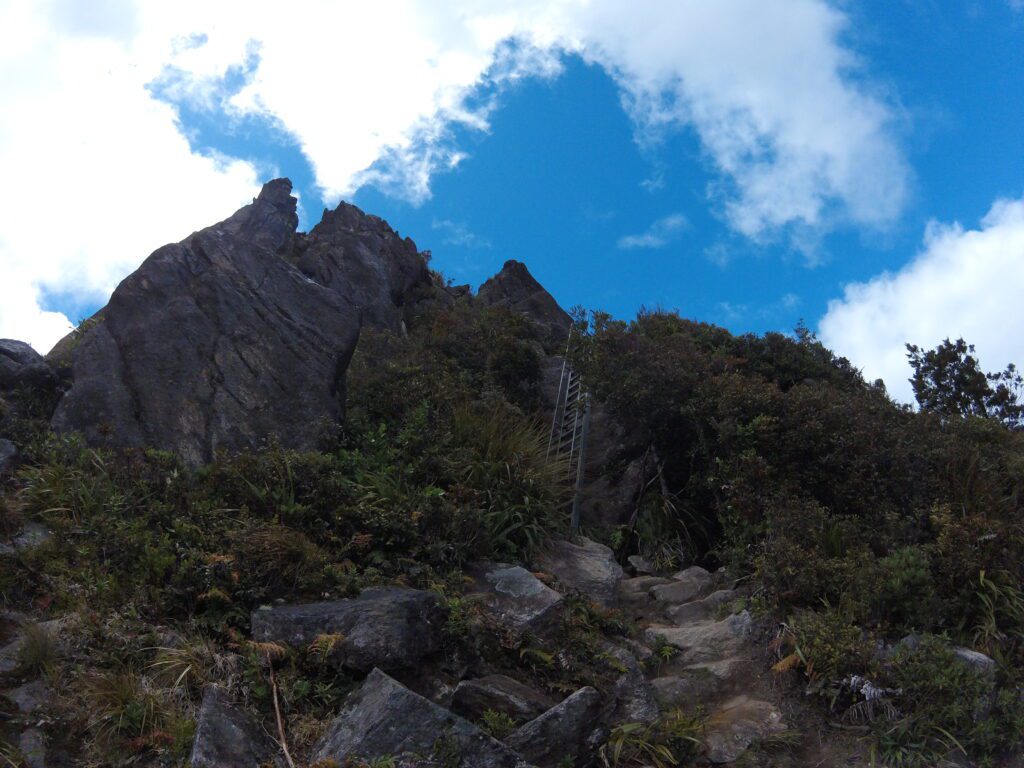 The Pinnacles Ladder