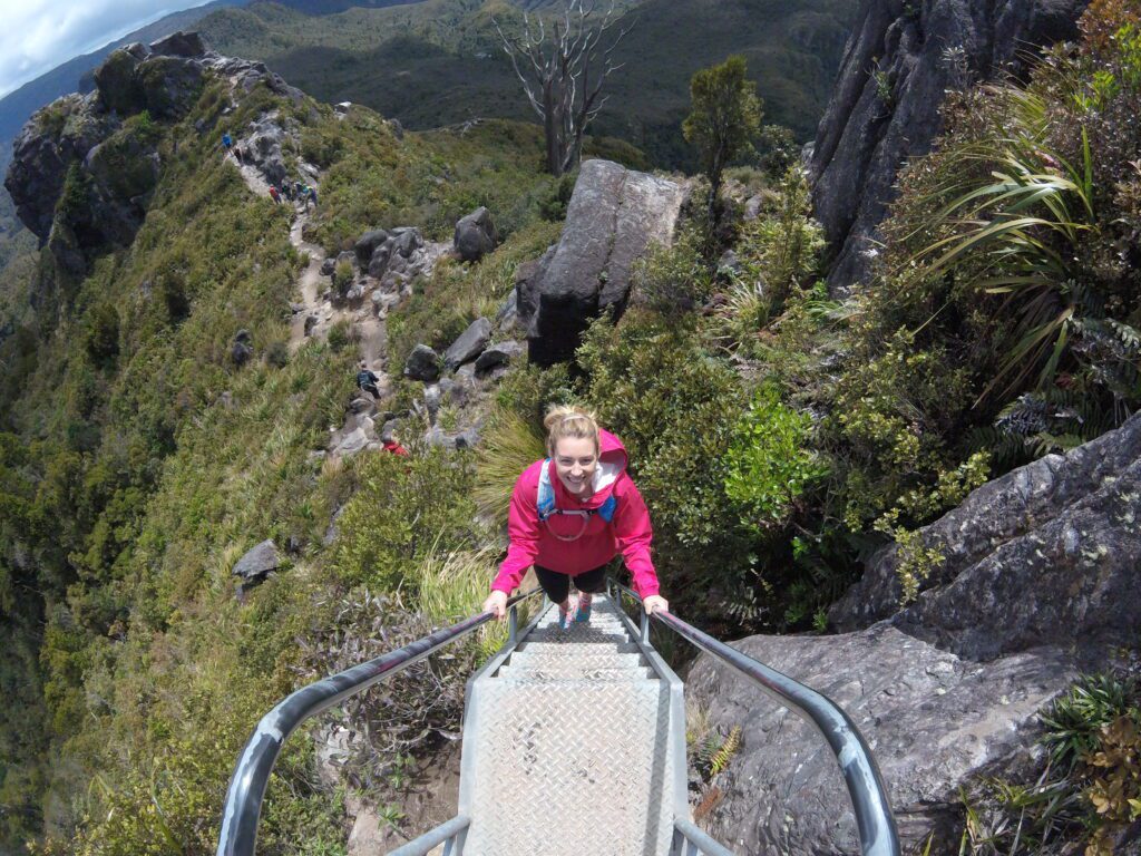 The Pinnacles Ladder